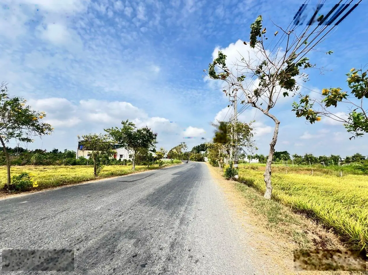 Tôi chính chủ cần bán 1000m2 đất lúa tại thị trấn Tân Trụ