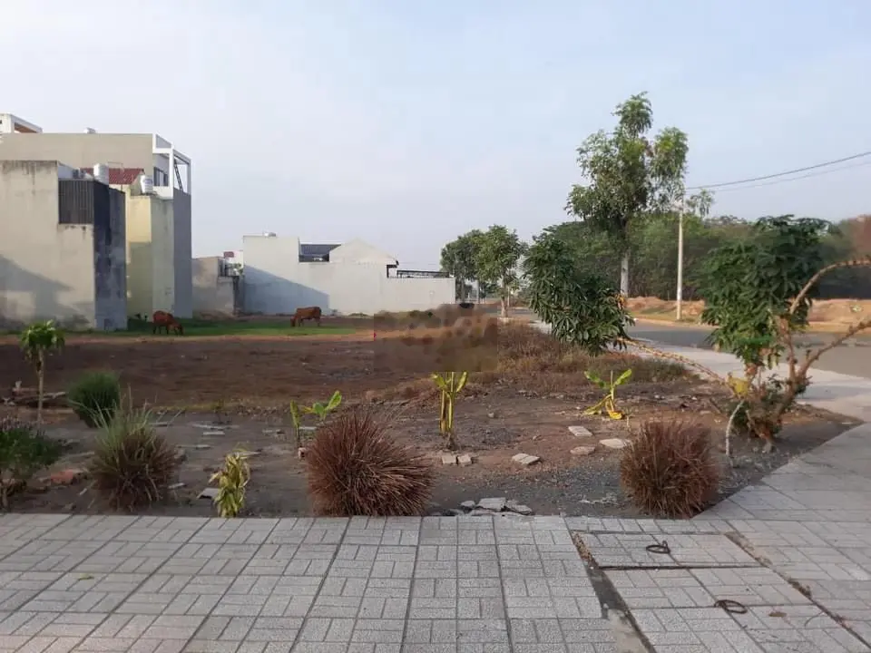 Cần Tiền Bán Gấp Đất Lai Uyên Bàu Bàng 1,19t/300m2,SHR.