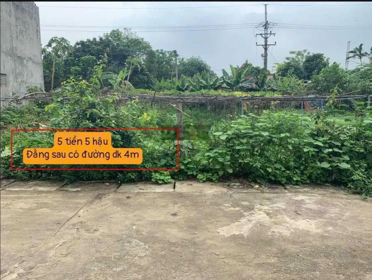 Tôi cần bán đất DT 80m2 full thổ gần QL21 giá 1,4 tỉ tại Thủy Xuân Tiên, Chương Mỹ, HN