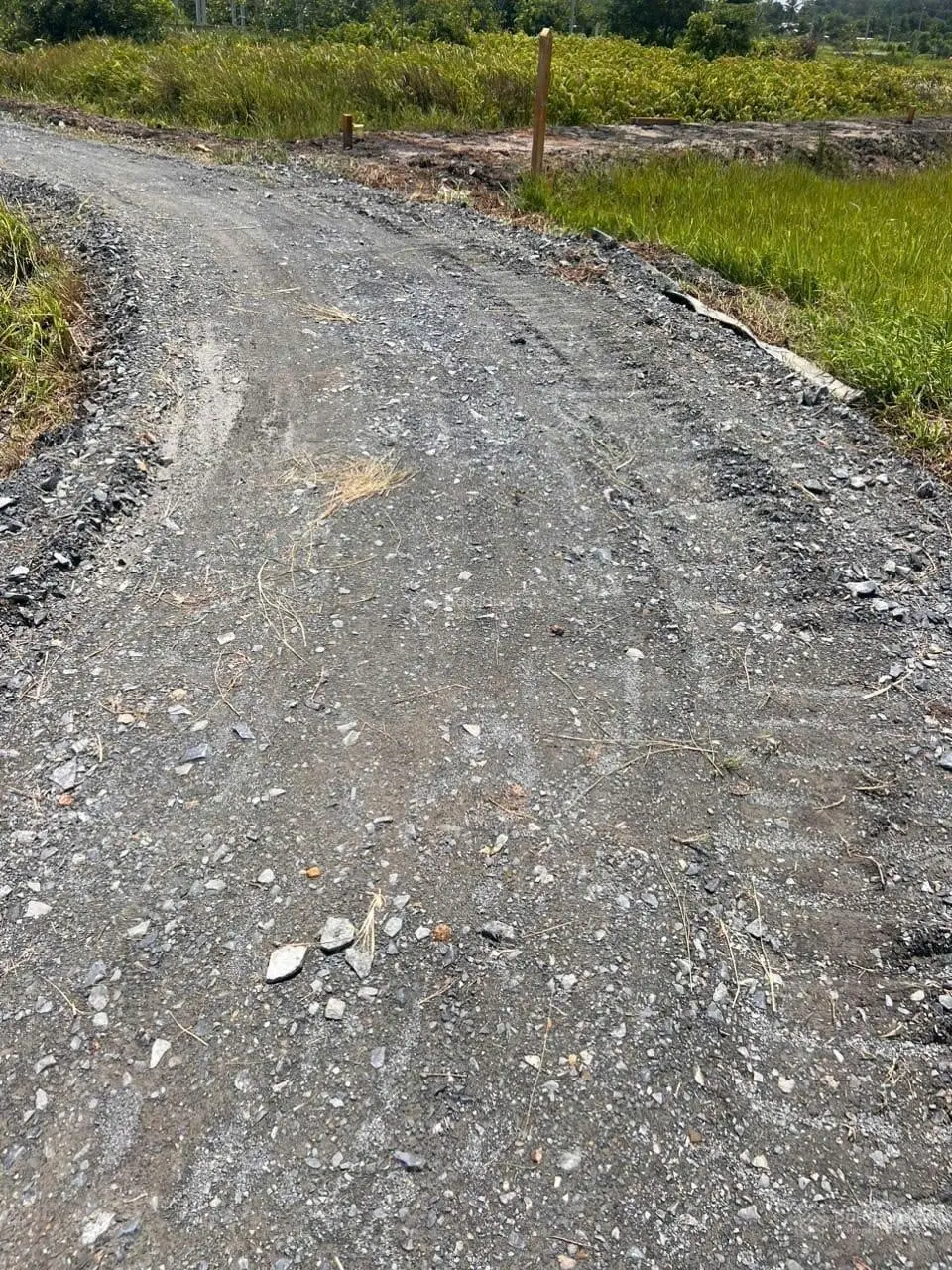 Bán nhanh lô đất 163m đường thanh niên, hóc môn - giá chỉ 2 tỷ 4