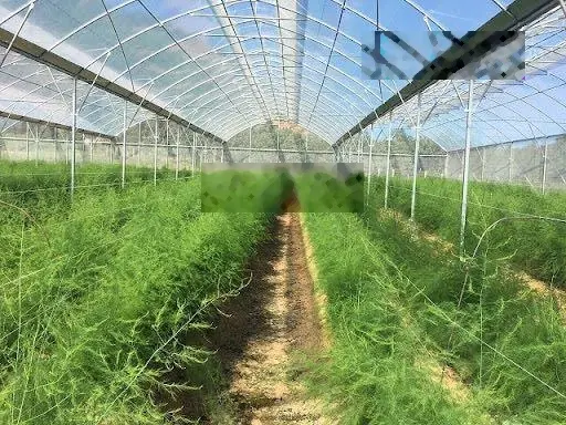 Bán 5576m2 đất mặt tiền đường chính vào khu farm Hoà Thắng, MT đường 10m, cách biển 15 phút đẹp