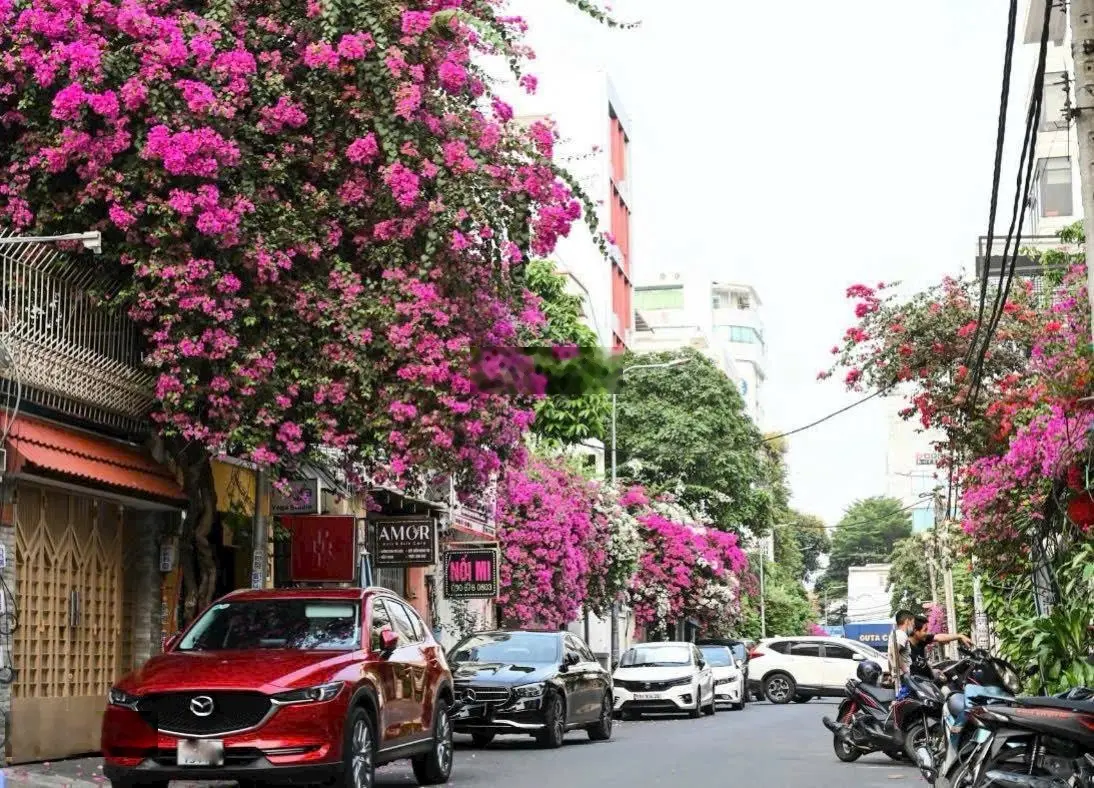 Mặt tiền đường Hoa Phường 2 Phú Nhuận, có 1 không 2. DT 4m x 16m. KC 4 Tầng. HĐT 50tr/th. Giá 20 Tỷ
