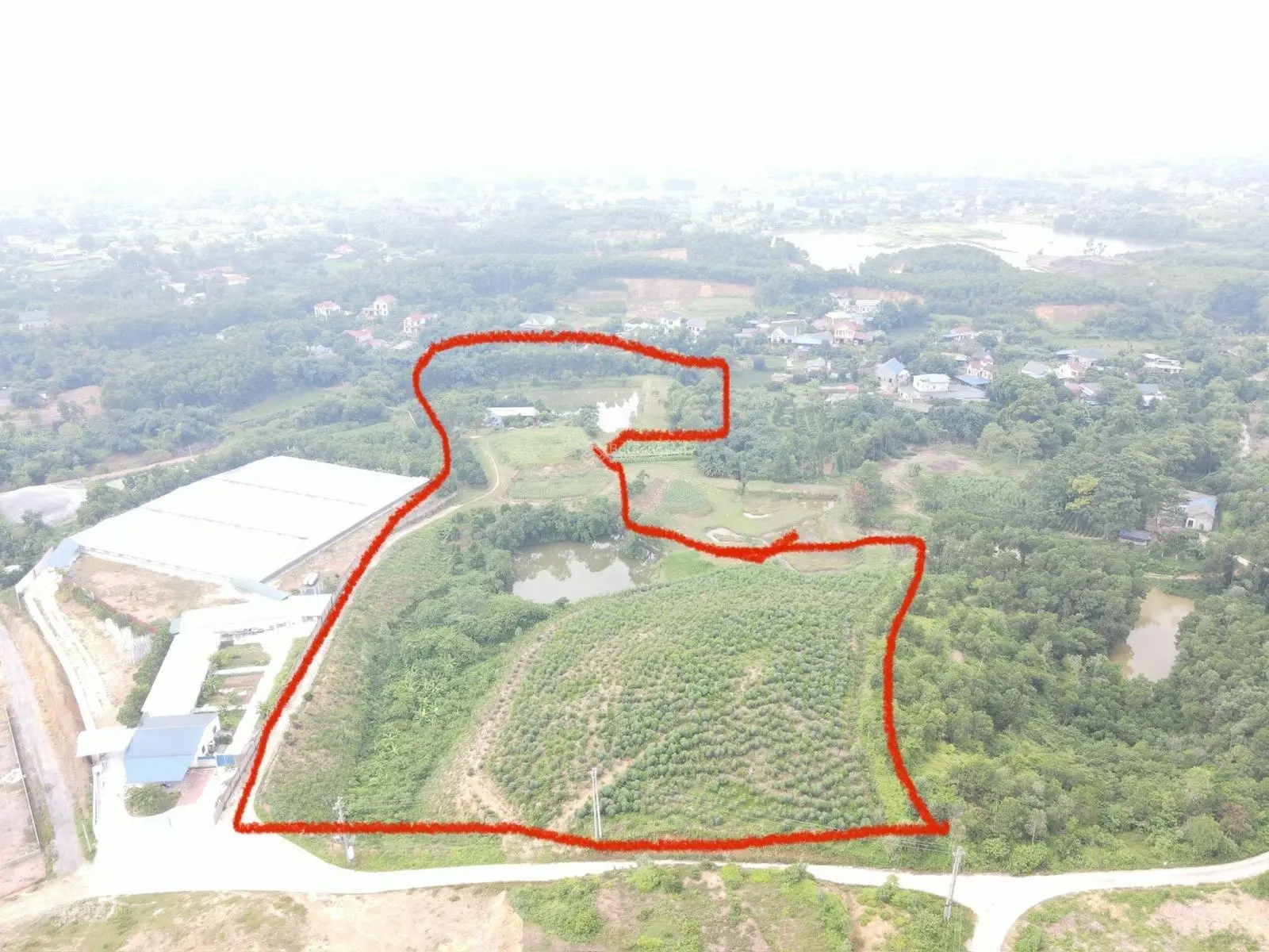 Cần bán 3,2ha đất TC, đất CLN, đất RSX có sẵn vườn cây ao cá tại Minh Đức, Phổ Yên, Thái Nguyên