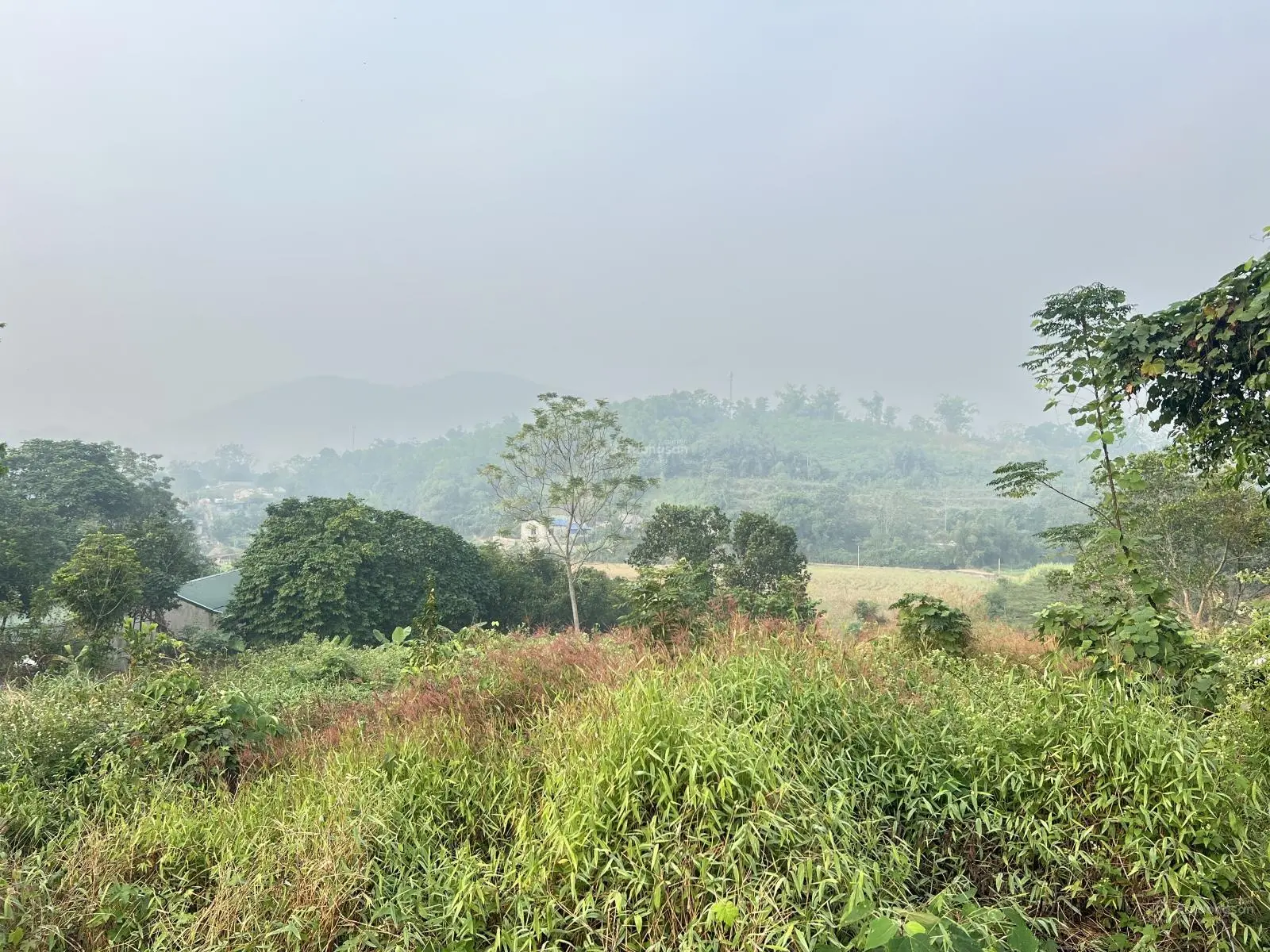 Bán lô đất siêu phẩm nghỉ dưỡng tổng diện tích 4000m trong đó có 120m2 đất ở tại Thị trấn Lương Sơn