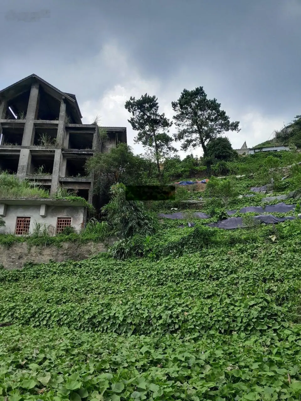 Chính chủ chuyển nhượng 7175m2 trung tâm thị trấn Tam Đảo, Vĩnh Phúc nhà hàng, KS, homestay, cafe