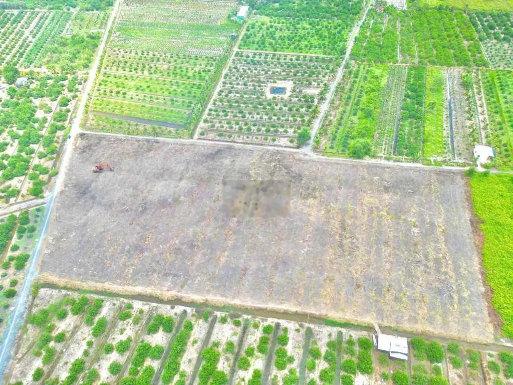 đất vườn Thạnh Hoà đường xe hơi thông thoáng