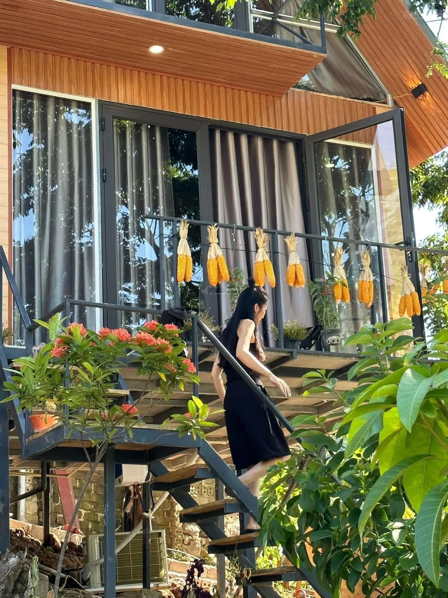 Bán Homestay xinh đẹp có 5 căn bungalow 2 nhà đất kiểu Mông đang kinh doanh hiệu quả