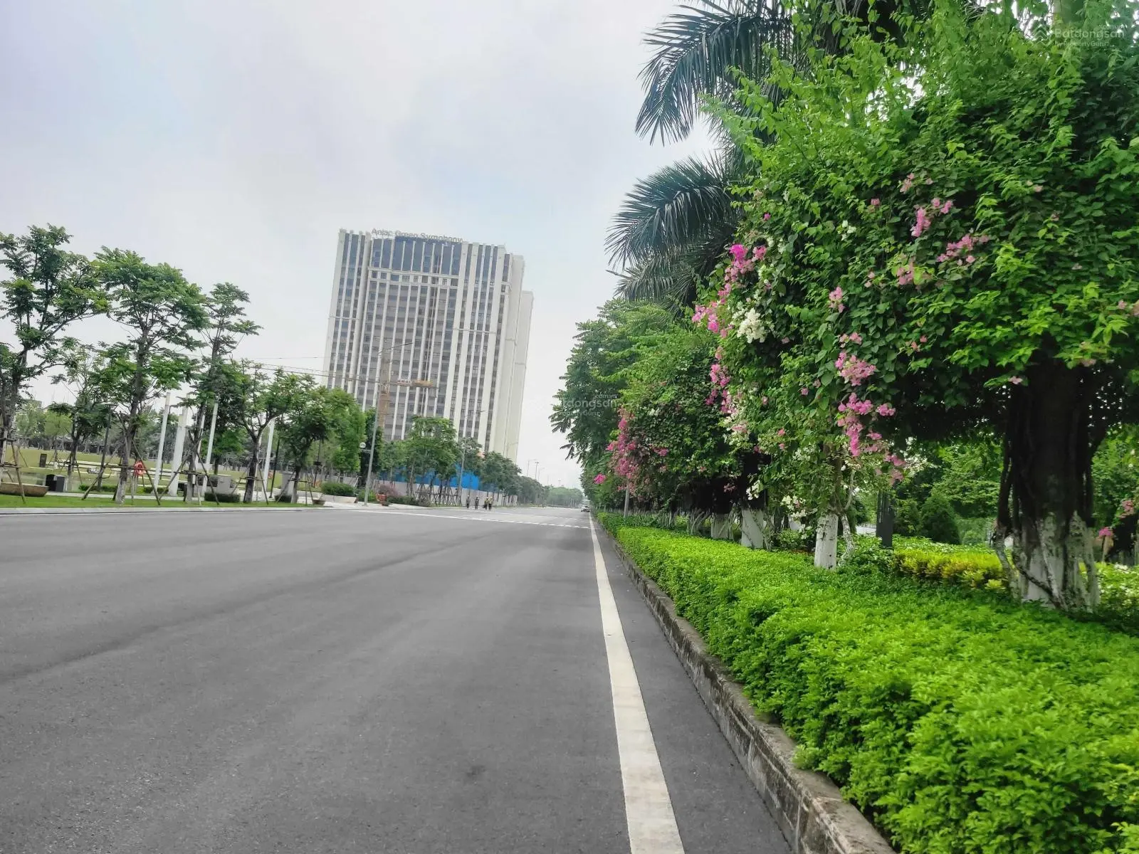Đẳng cấp! Lô góc gần Hồ, dự án An Lạc Green Symphony, đơn lập 300m2, giá đầu tư, quận Hoài Đức
