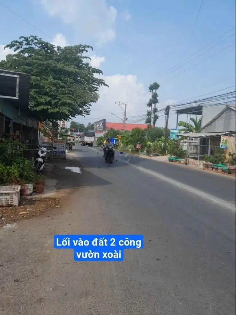 CẦN BÁN VƯỜN XOÀI 2 CÔNG