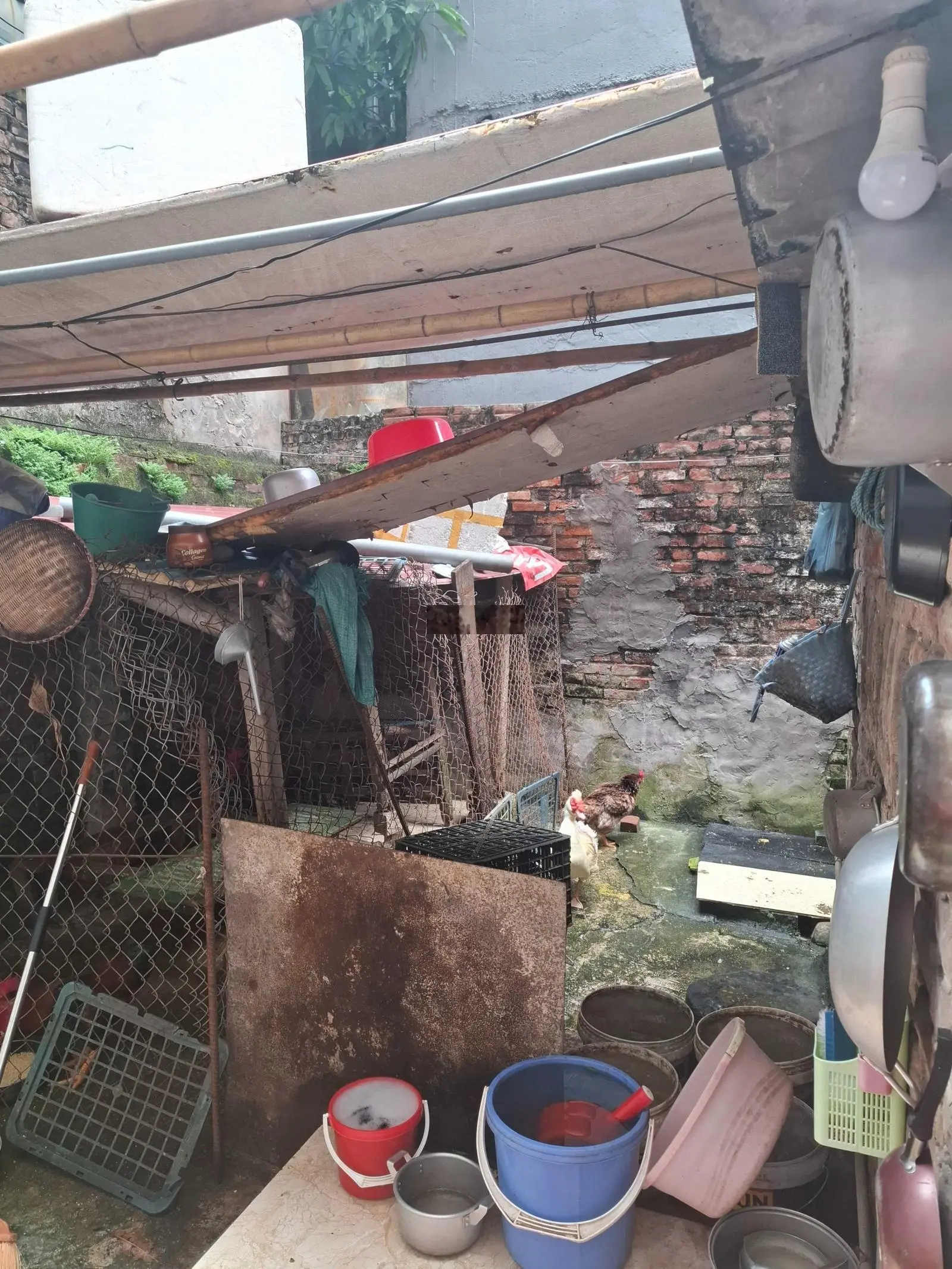 Đầu tư ngon, đất xây CCMN phố Xuân La, 76m2, khu vực hiếm nhà bán, dòng tiền cao nhỉnh 10 tỷ