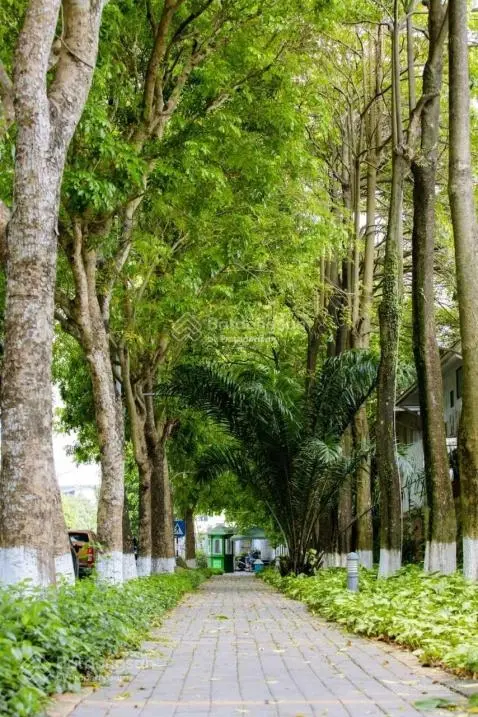 Tận hưởng cuộc sống xanh bất tận với dự án The Fibonan! Tầm view không che chắn vĩnh viễn