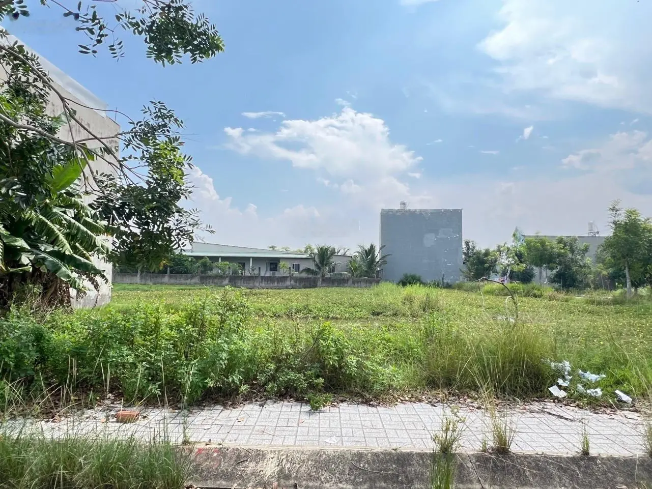 Cát Tường Phú Sinh bán đất đối diện khu du lịch sinh thái An Tây Hồ giá rẻ 790tr SHR rẻ nhất khu ạ