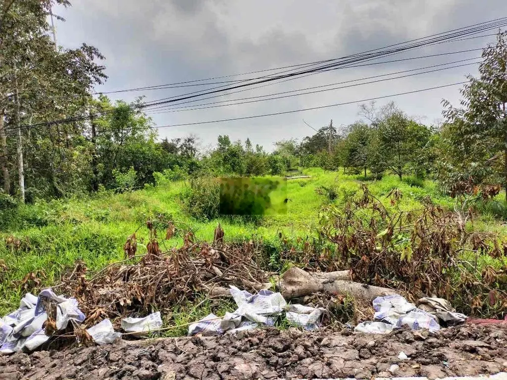 đất thuộc Giai Xuân Phong Điền tp Cần Thơ (cách tt PĐ) 2,5km