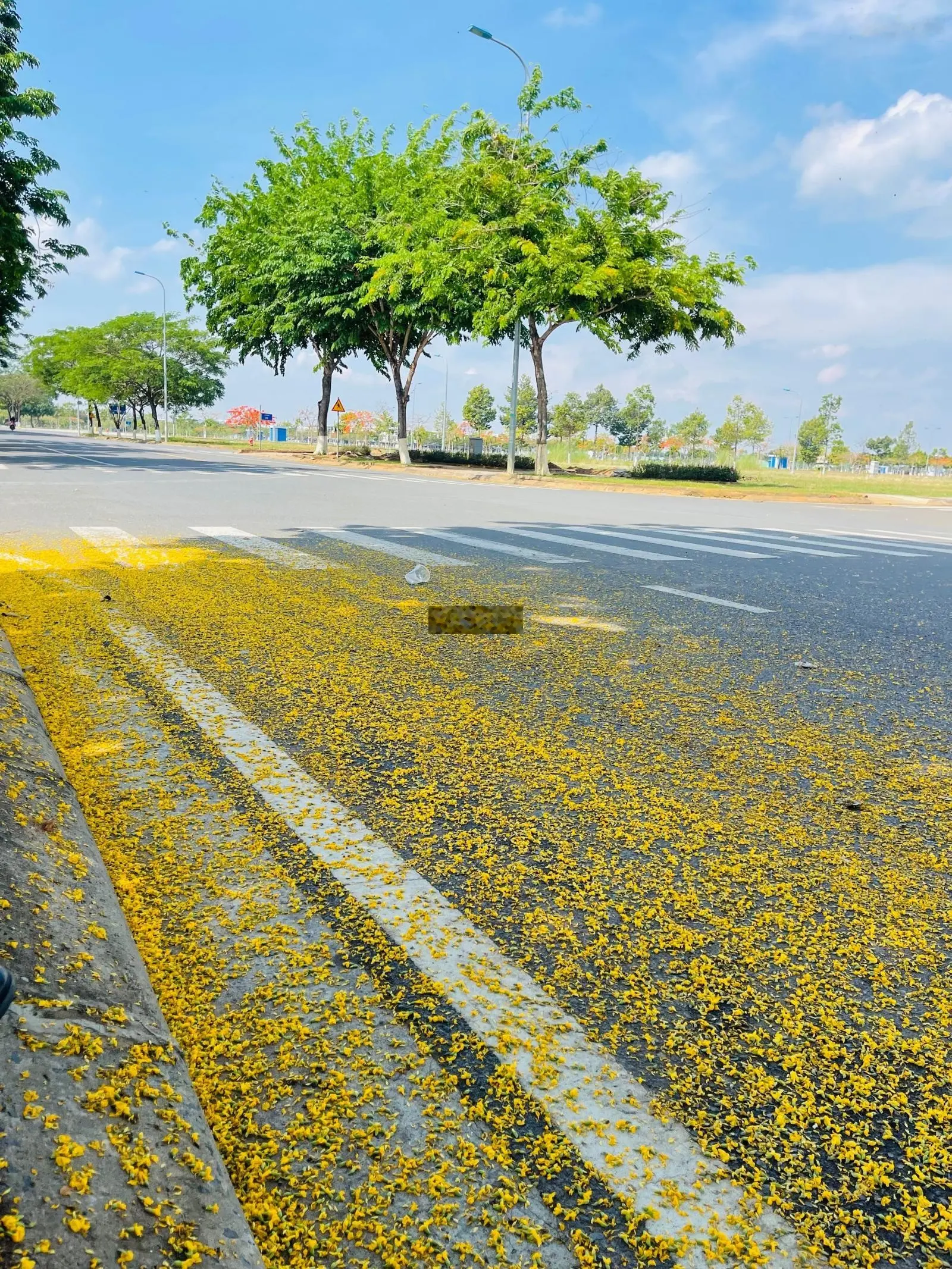Chủ cần bán lô đất 8 * 20 đối diện trường tiểu học kế trục chính giá 9,5 tỷ