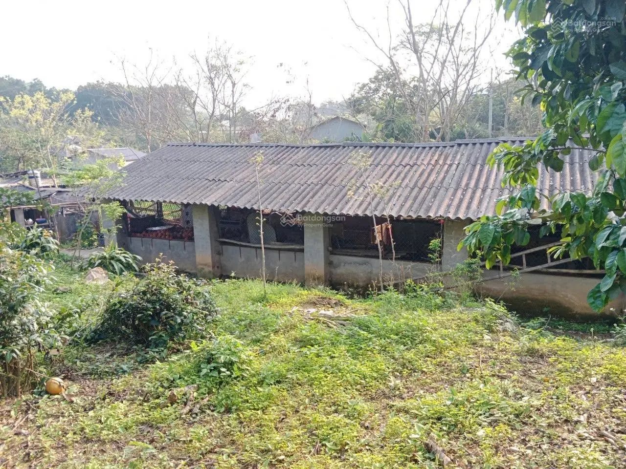 Đất 2 mặt tiền, view cao, có nhà sẵn ở, vườn cây ao cá, đất thị trấn, cách cao tốc vài trăm m