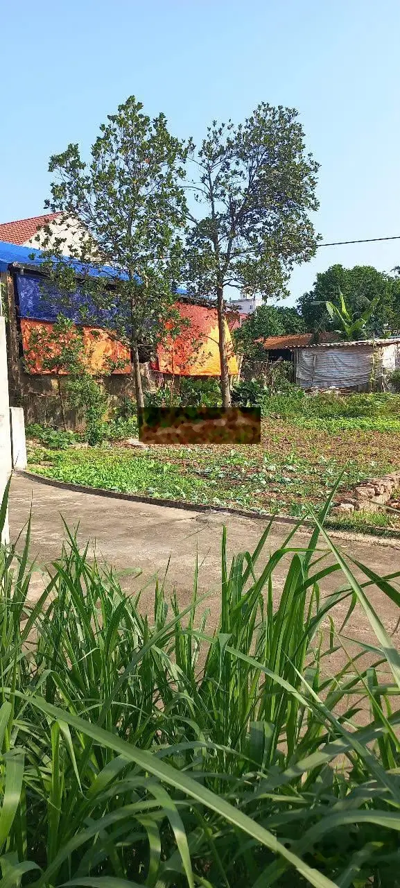 Bán đất Thôn Tân Hưng xã Hùng Cường, TP Hưng Yên, Hưng Yên