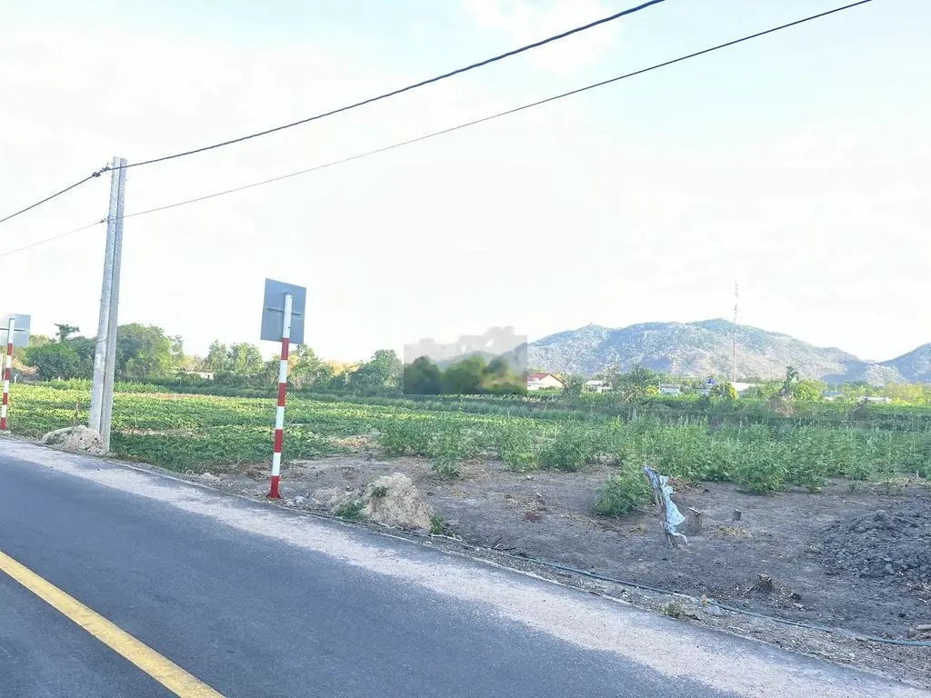 BÁN ĐẤT LONG MỸ GẦN BIỂN - GẦN 1 SÀO 5, NGANG 16M MT NHỰA GIÁ 4 TỶ 4
