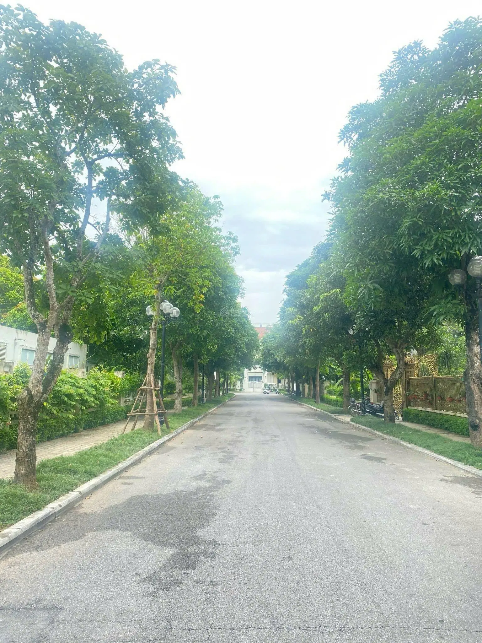 Bán biệt thự song lập Hoa Lan 3 sông 251 m2, Tây Tứ Mệnh Vinhomes Riverside, 0963 892 ***