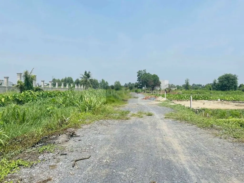 Cần bán gấp lô đất vườn 1000m2 giá cực rẻ