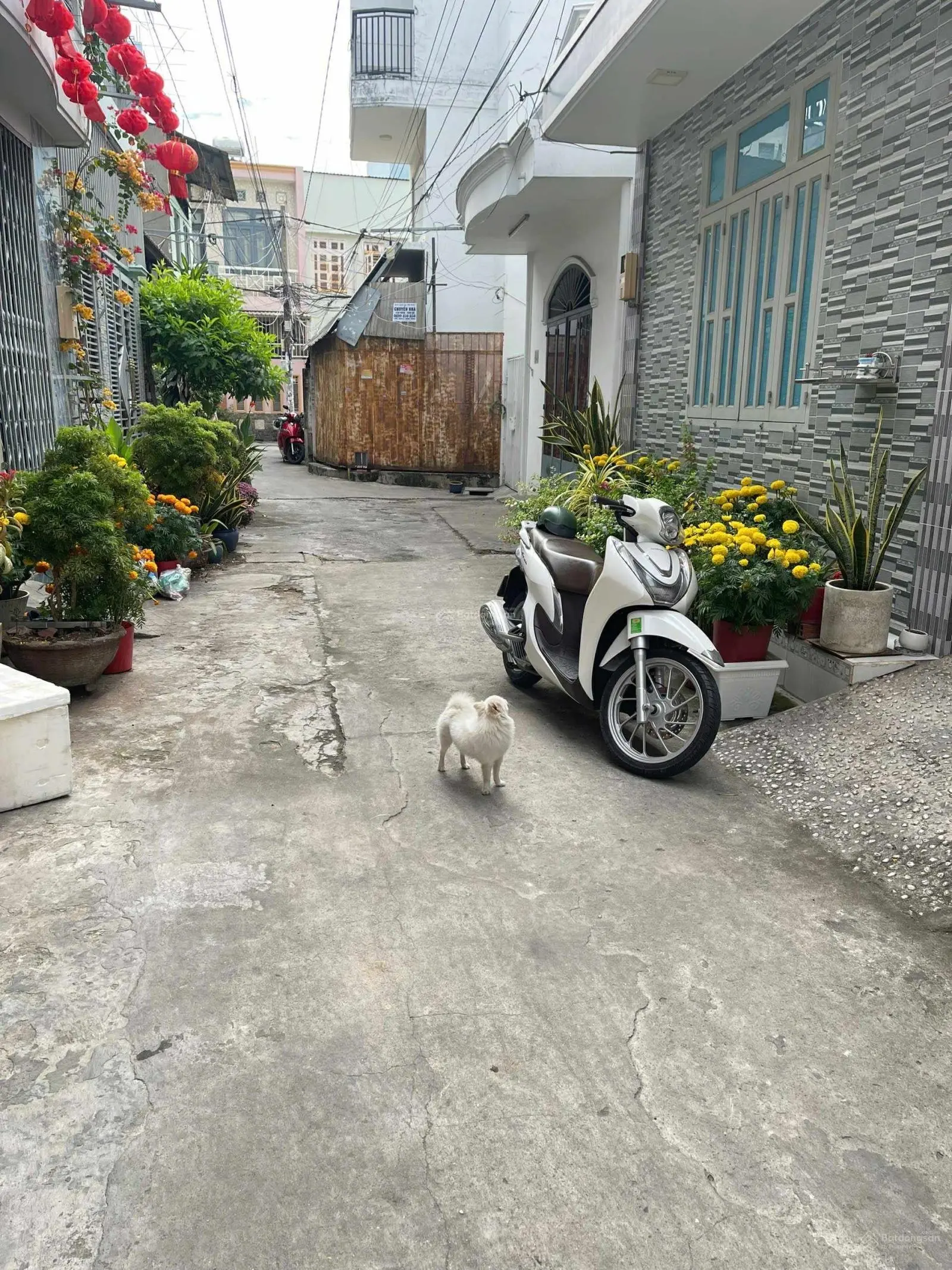 Bán nhà riêng 5,4 tỷ, 51m2 tại Tân Kỳ Tân Quý, Sơn Kỳ, Tân Phú, HCM