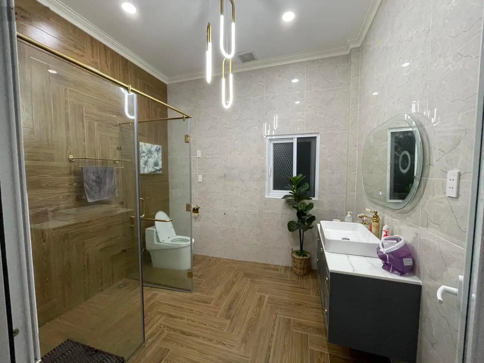 Biệt thự 5 tầng thang máy khu VIP Hồ Biểu Chánh 232m2