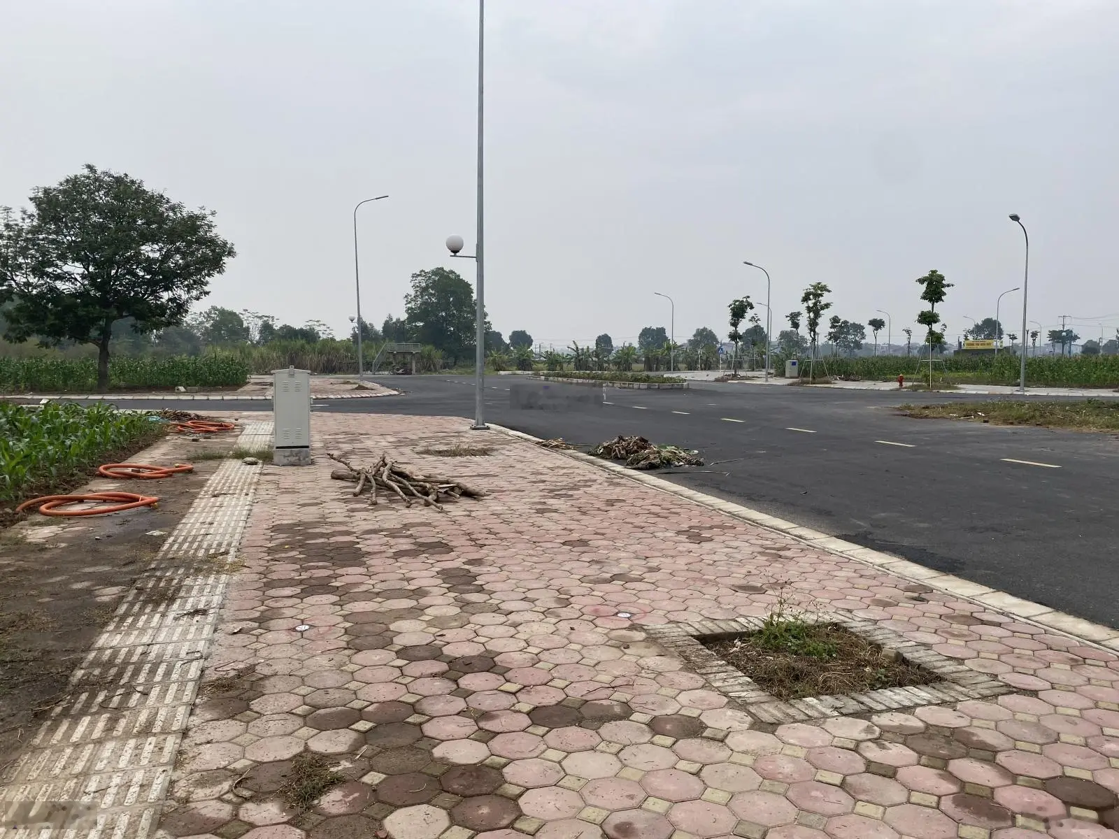 Bán đất dịch vụ khu X1 Đông Hội - Mai Lâm, DT 80m2, mặt tiền 5m, đường 40m, cách 500m cầu Tứ Liên