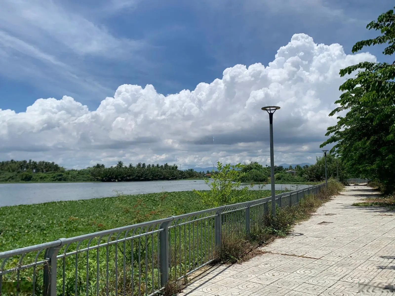 Bán biệt thự mặt tiền Sông Phước Giang KDC An Lộc Phát, 205m2(10x20.5) hướng Nam, Sổ Hồng Riêng