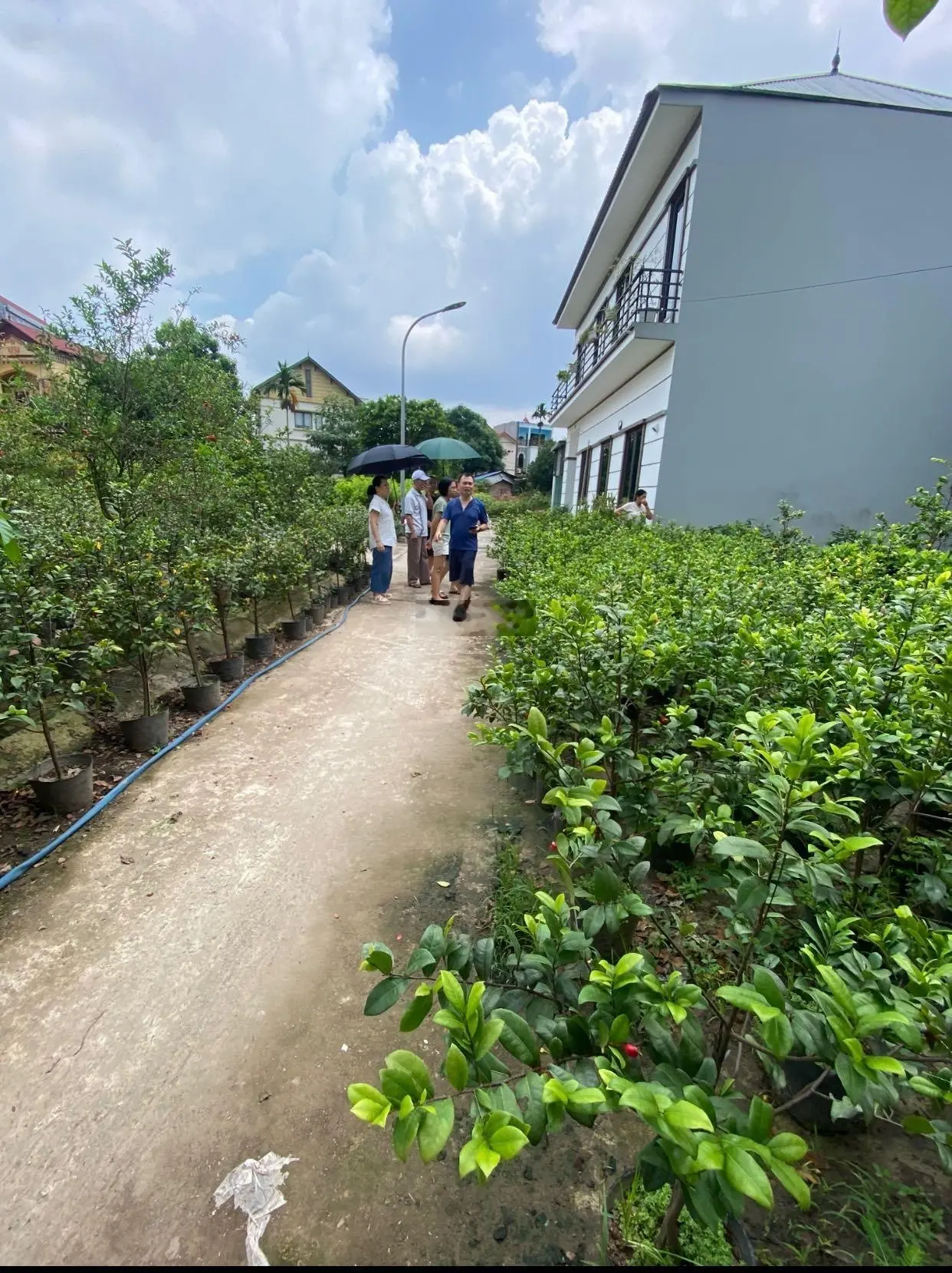 Bán đất Phụng Công Văn Giang ngõ ô tô dân cực giàu