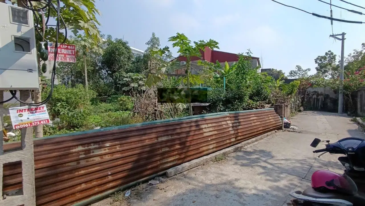 Bán lô đất 75m2 Tiên Hội- Đông Hội, mặt tiền 4.29m, nở hậu, ngõ ô tô.