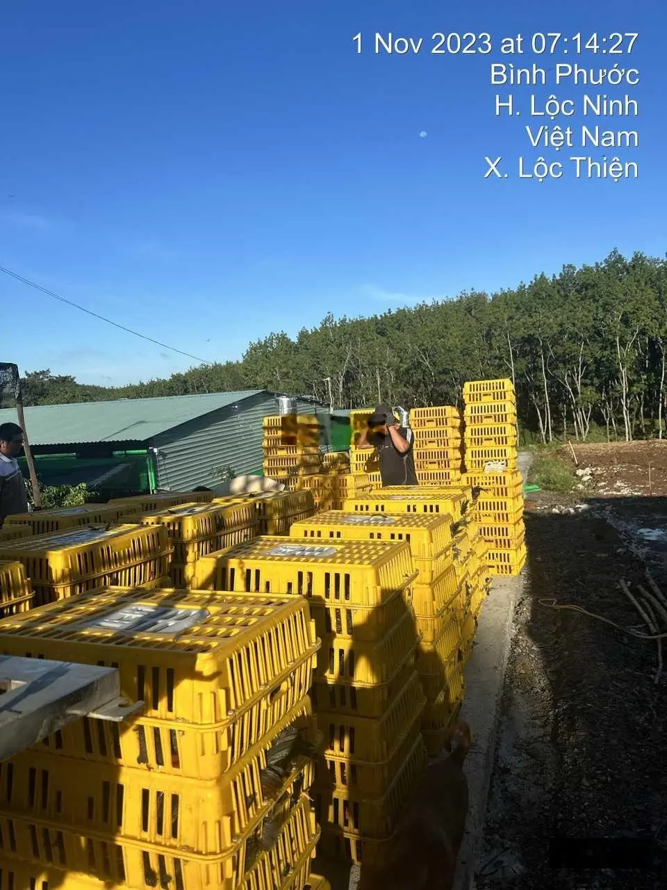 Chính chủ cần bán trang trại 7000m2 giá bán 4,5tỷ (mua lại được giữ HĐ thuê lại trại gần 300tr/năm)