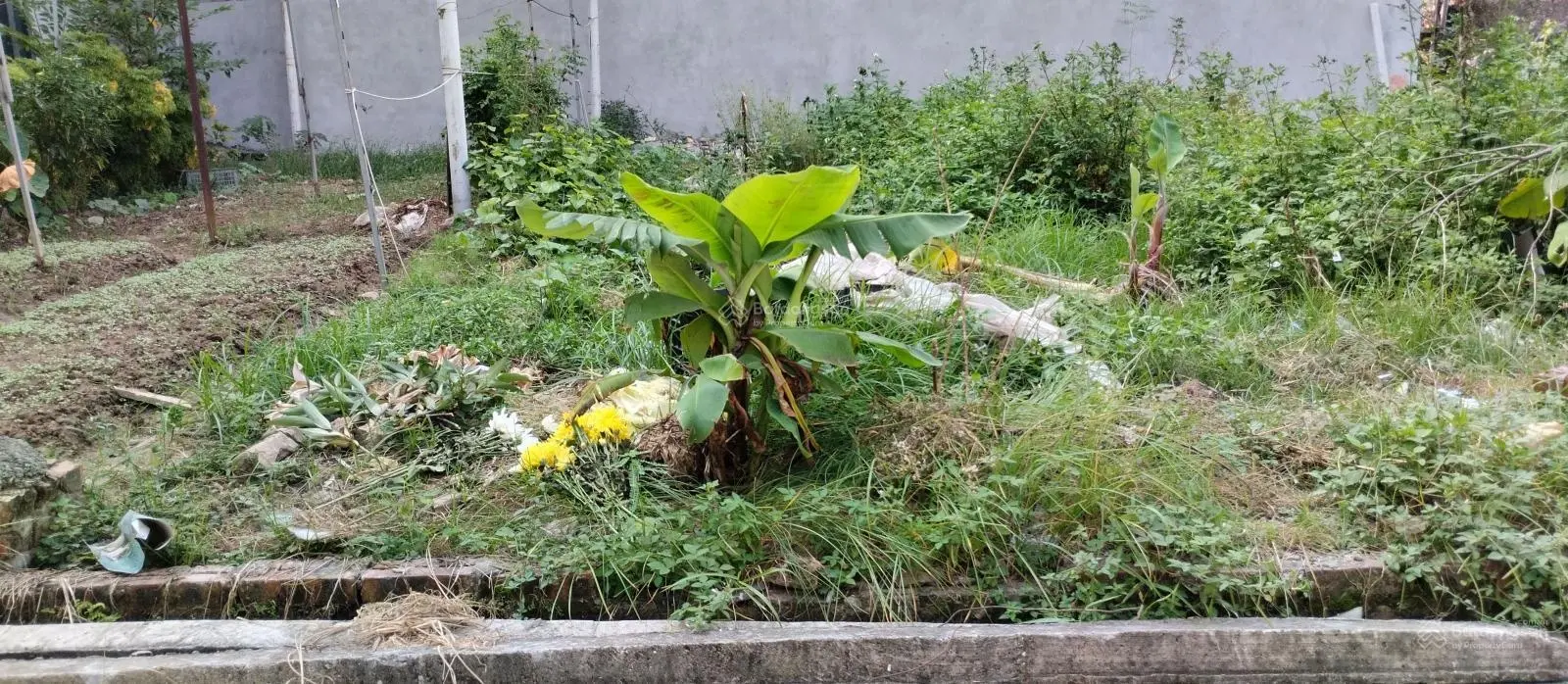 Siêu phẩm! Bán đất Lâm Tiên lô góc ô tô 7 chỗ. 10 mét ra ô tô tránh. Tiện ích đa dạng.