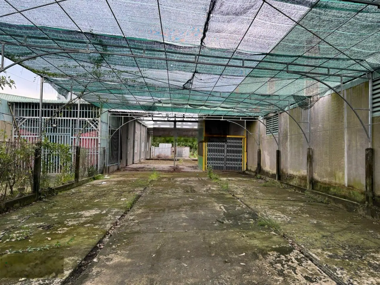 Bán 400m2 đất mặt tiền đường nguyễn văn linh cạnh cầu giáo đôi dt 400m2- giá 4.2 tỷ