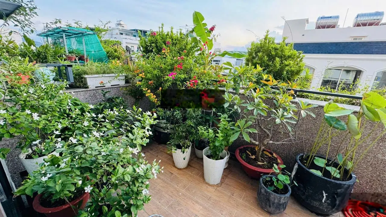 Bán căn hộ sân vườn, CT4, VCN Phước Hải, Nha Trang