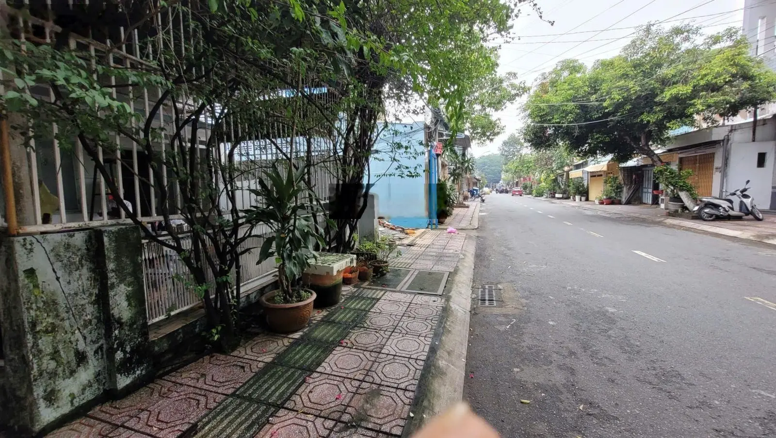 Bán nhà & đất mặt tiền đường Lê Văn Tám, P1, Vĩnh Long