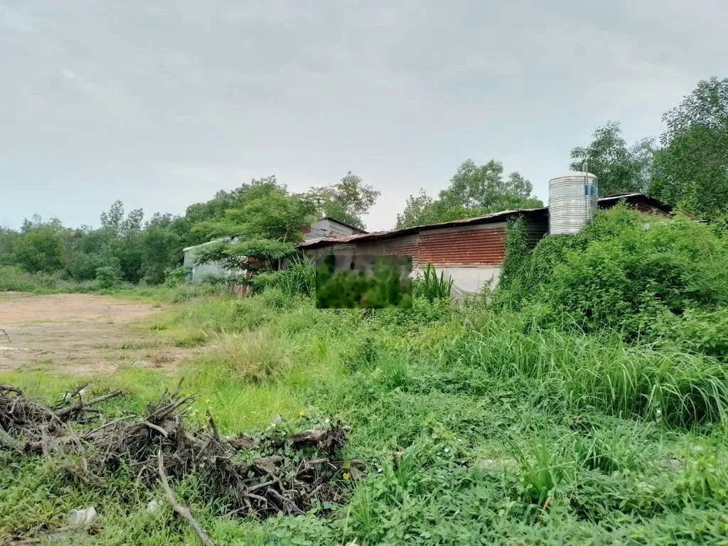 Đất cô ruột bán nhanh ngay MT DT784 - Giá 3,1 tỷ / 426m2 (70m2 thổ )