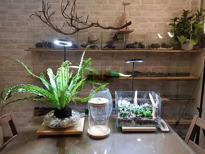 Bán gấp bán lỗ CH Dragon hill 2 104m²chỉ 3.2 tỷ.