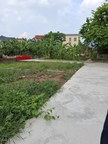 Cần bán lô đất tại Chương Lộc, Chương Dương, Thường Tín. Diện tích 40m2