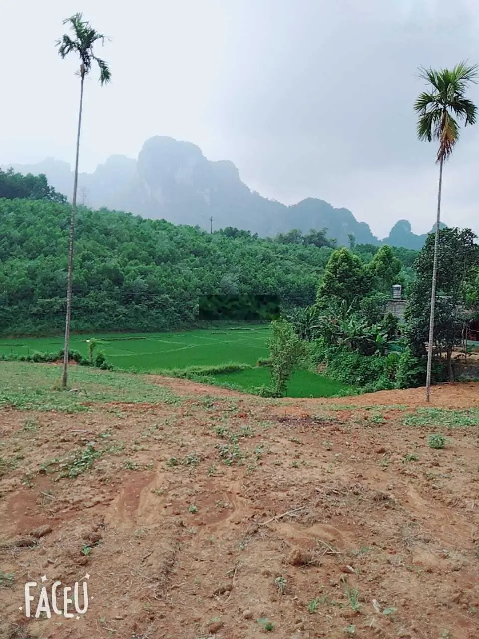Chính chủ gửi bán nhanh, tổng S = 2878m2, ONT = 400m2 tại Kim Bôi, Hòa Bình