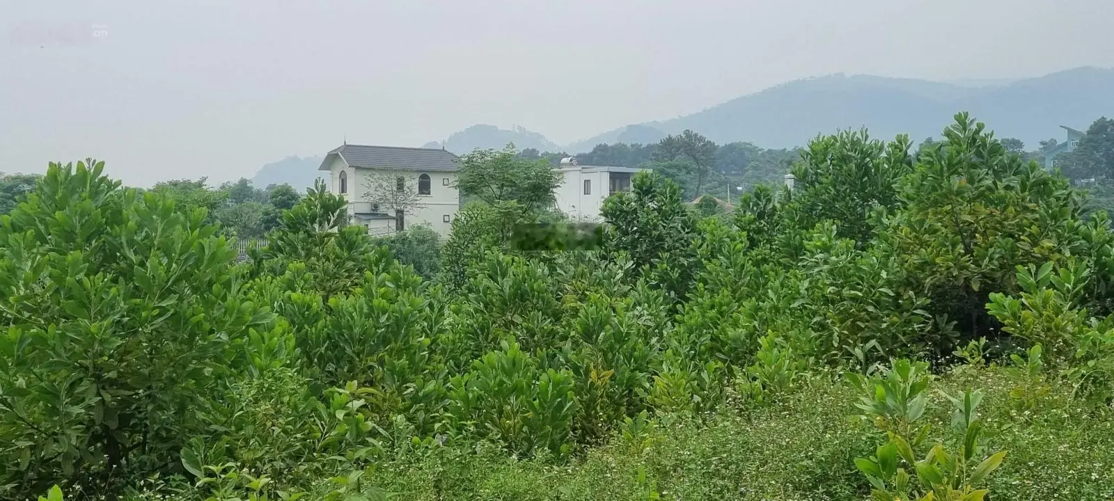 Bán 3269m2 đất tại Cư Yên, Lương Sơn, Hòa Bình giá đầu tư