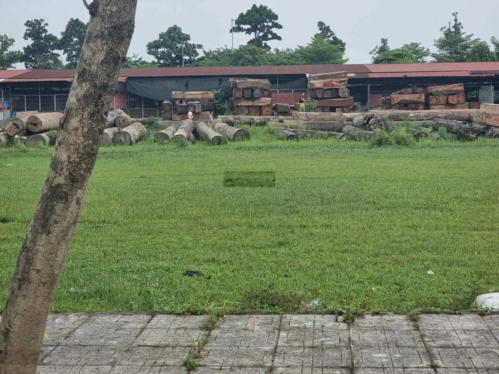Bán gấp lô đất 125m2 Từ Sơn Garden City trả nợ 33 triệu/m2, 0966 228 ***