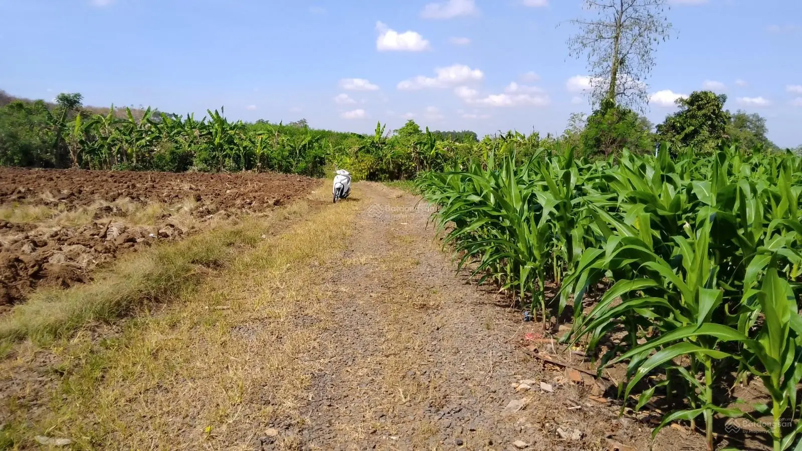 Bán 12000m2 đất (CLN) có 300m2 ONT Hồ Cầu Mới cách sân bay Long Thành 8km, 1.25tr/m2