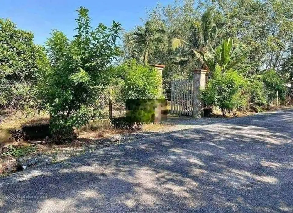 Bán sang tên công chứng ngay miếng đất hơn 2000m2 thổ cư, 890 triệu