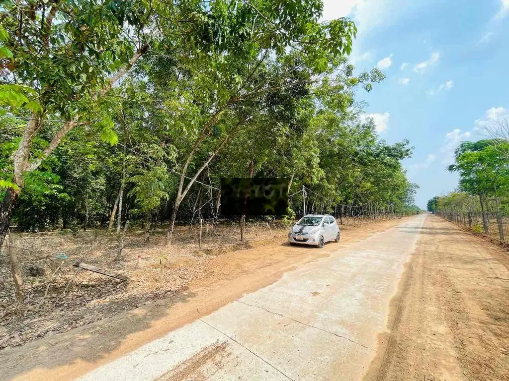 80.000m2 đất 2 mặt tiền quốc lộ tại Chơn Thành: 260x300m
