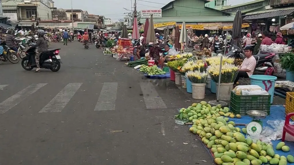 Đất thổ cư,1000m2, 100m thổ cư ngay chợ