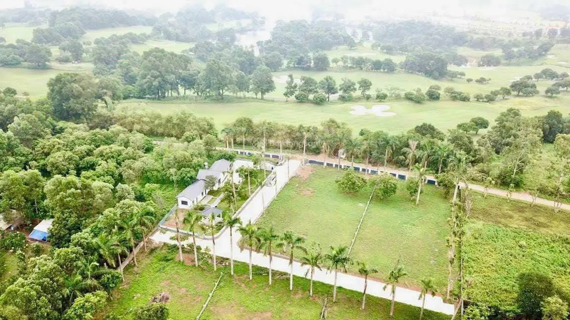 Chủ cần tiền cắt lỗ 2200 đẹp hơn tranh vẽ thảo nguyên xanh mướt, không khí trong lành mát mẻ