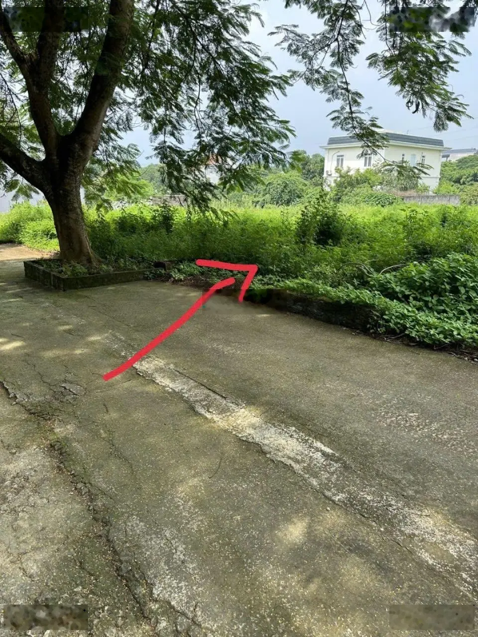 E bán lô đất siêu rẻ tại Vai Réo Nông Lâm Phú Cát Quốc Oai Hà Nội, giá 20, xtr/m