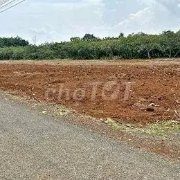 ĐẤT SÀO LỘC NINH BÁN GẤP