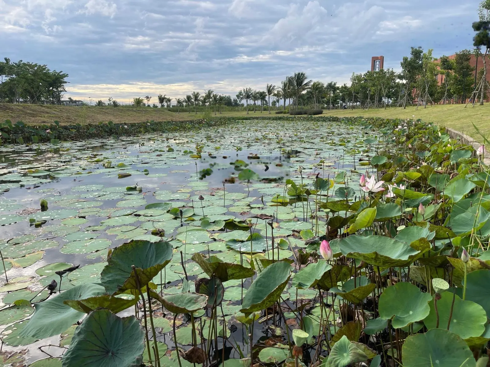 Biệt thự 300m2 giá tốt nhất đô thị Waterpoint, gần clubhouse, bến du thuyền. LH 0935 861 ***