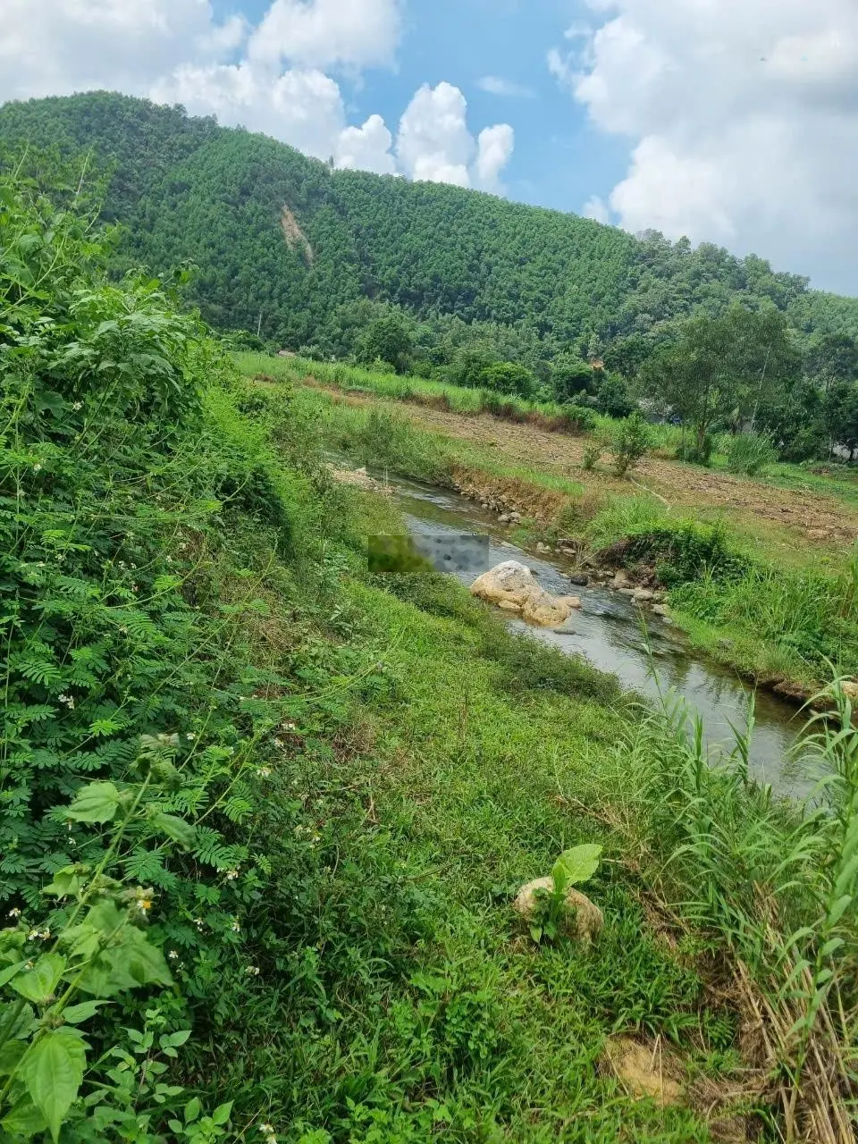 Bán đất view cánh đồng bám suối 3500m2, giá 2,x tỷ