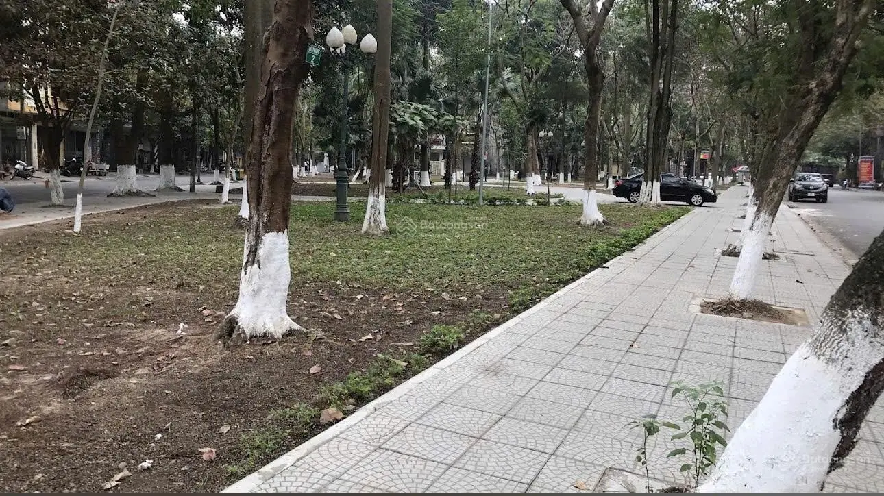Lô góc 2 mặt phố Bùi Xuân Phái & Tô Ngọc Vân, view vườn hoa, giữa khu dân cư, kinh doanh sầm uất